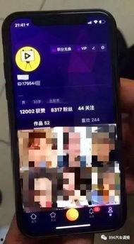 可上传视频的成人app,精选平台深度解析